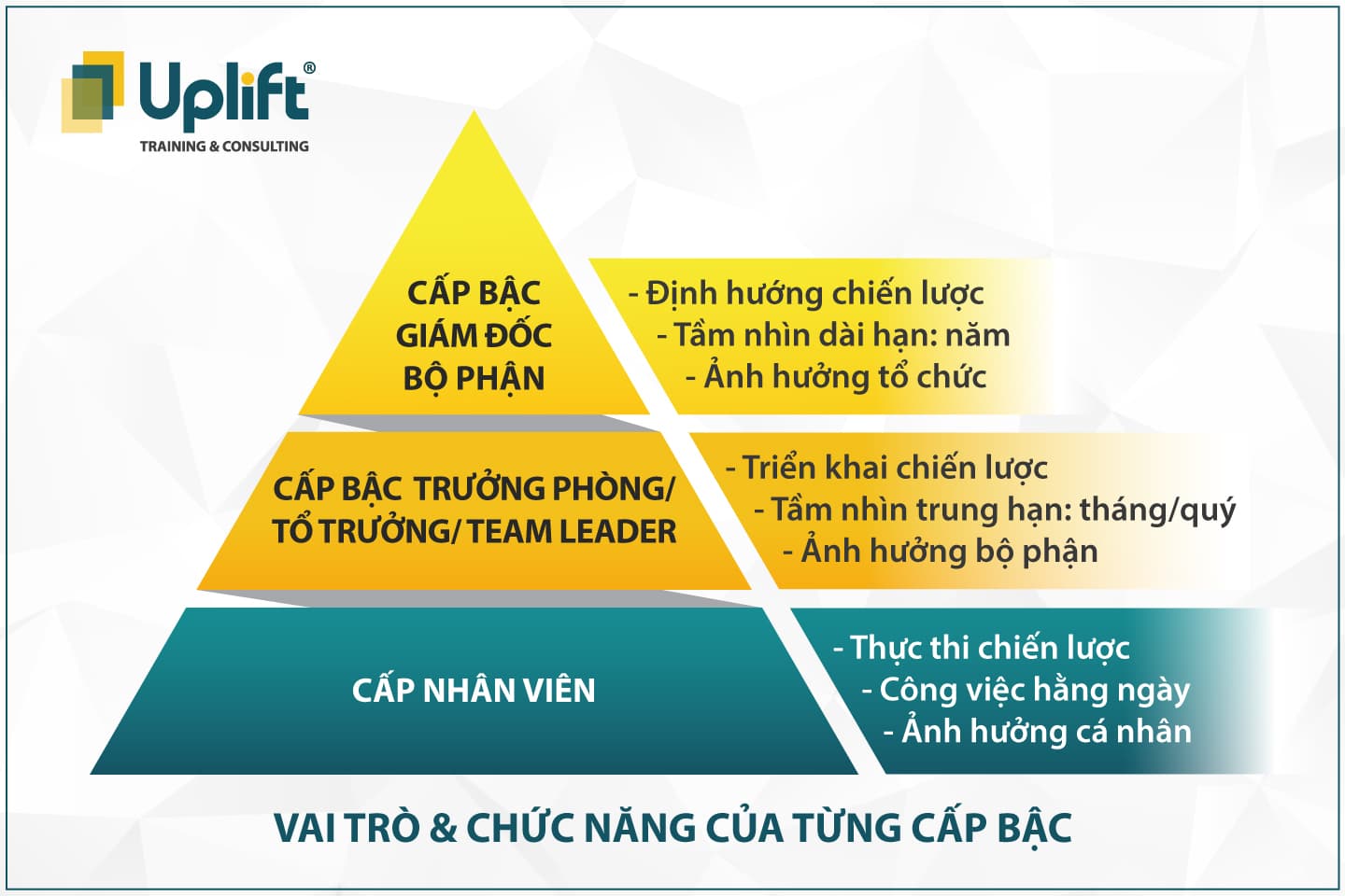 VAI TRÒ & CHỨC NĂNG CỦA TỪNG CẤP BẬC TRONG DOANH NGHIỆP THỜI ĐẠI SỐ