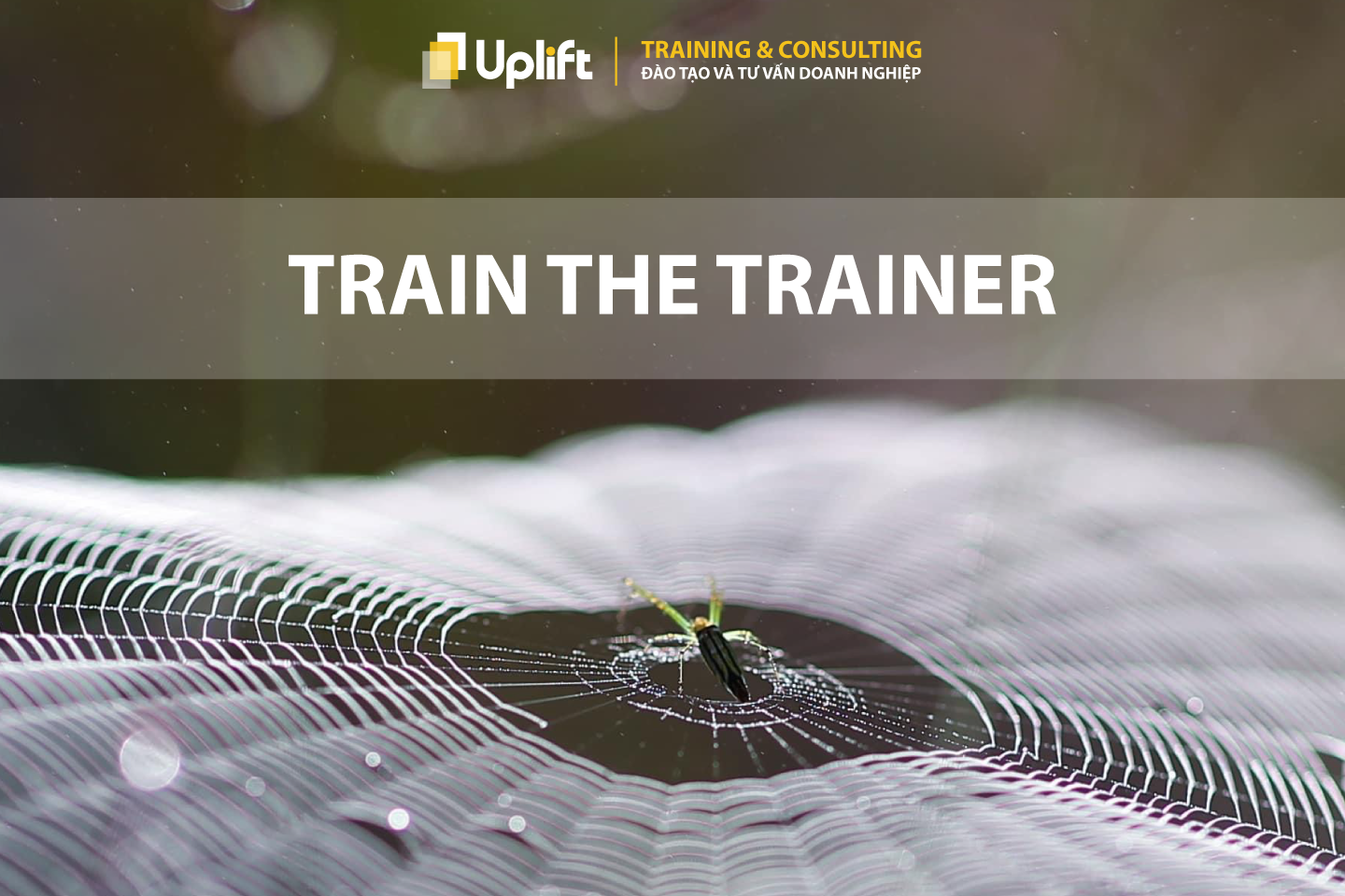 TRAIN THE TRAINER - ĐÀO TẠO GIẢNG VIÊN NỘI BỘ